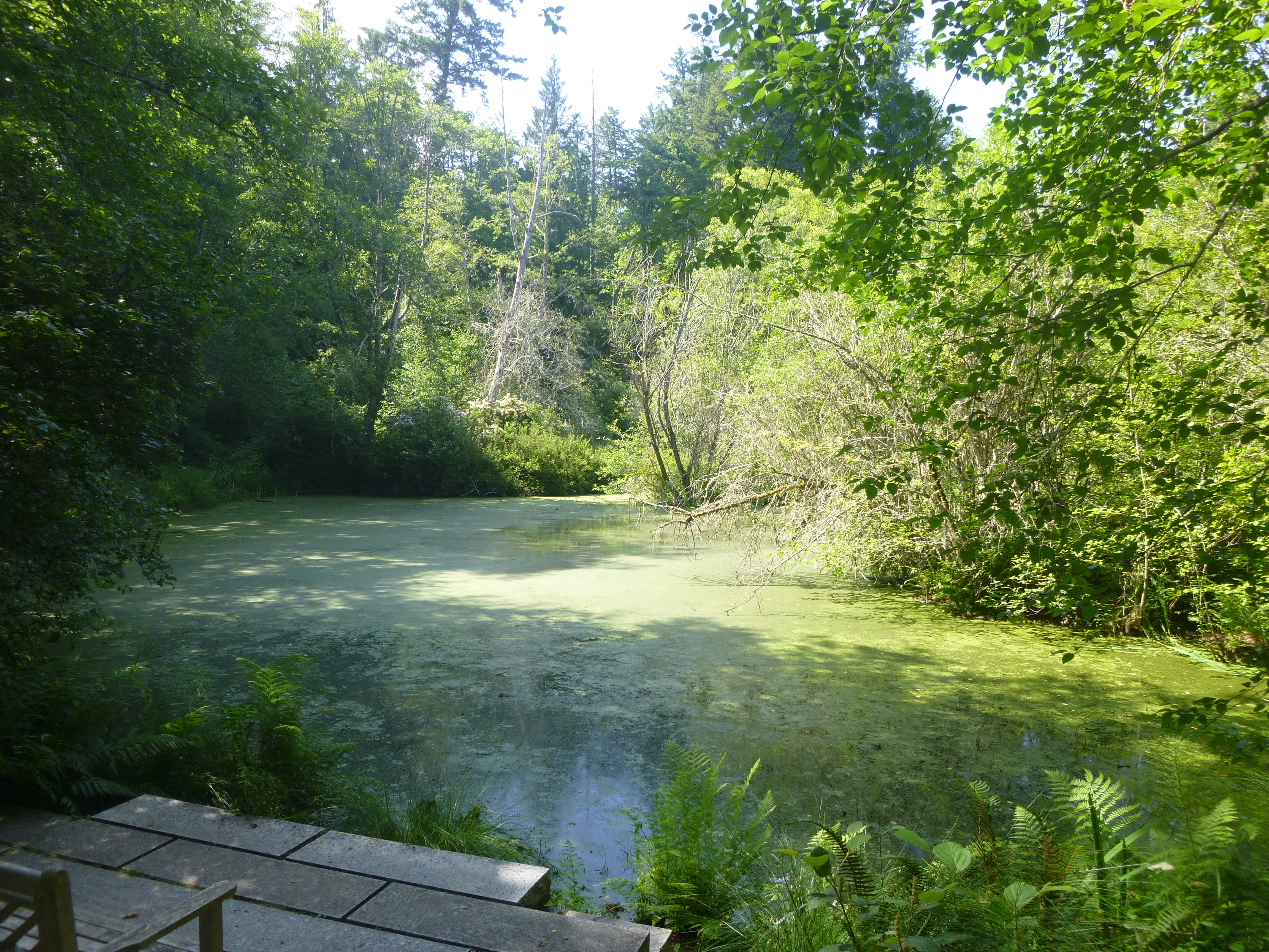 Photo 8